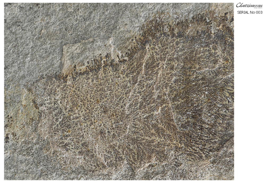 Natural Art 003
