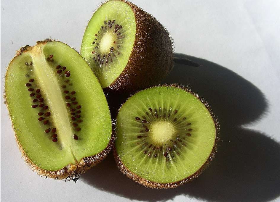 ACTINIDIA chinensis 'Hayward'